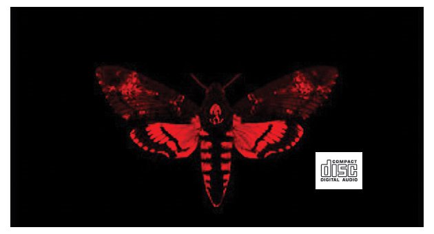 Lil Wayne - I'm not a Human Being ll